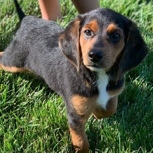 Meet your Posher, Jenna